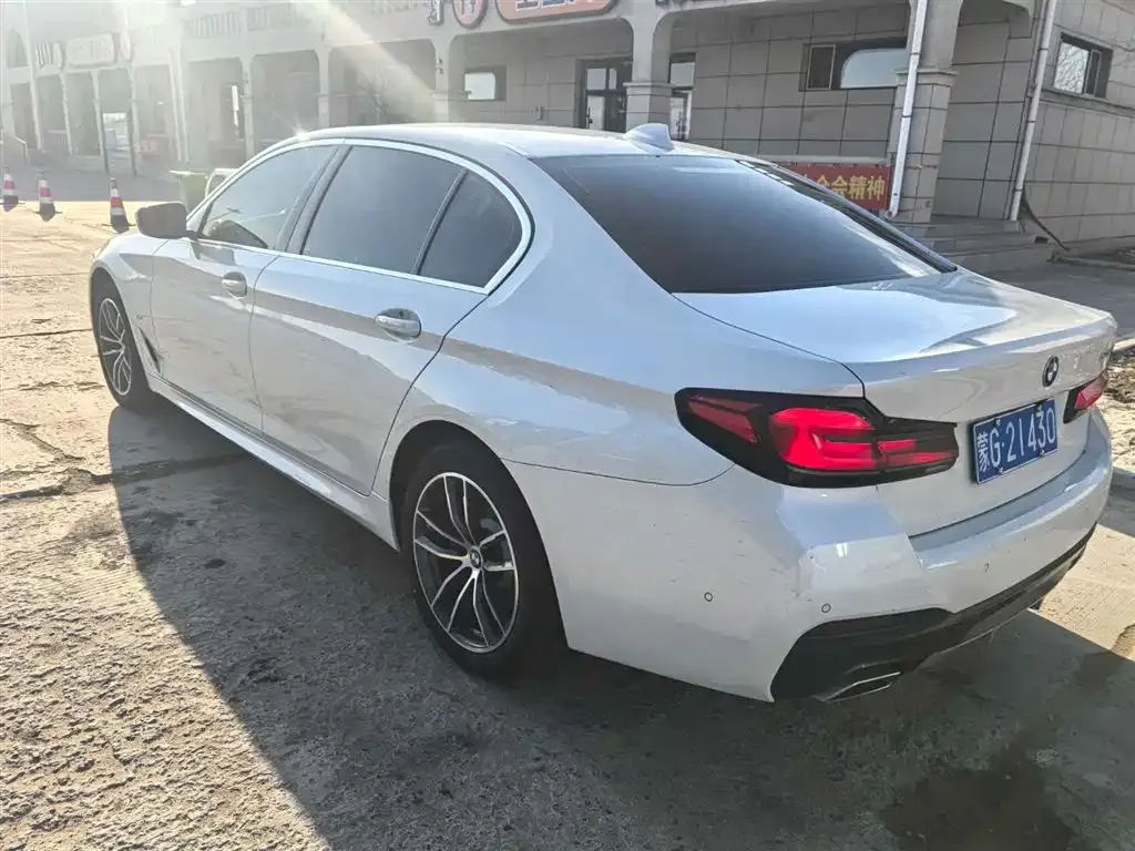BMW 5 Series 2022 из CN, фото 9
