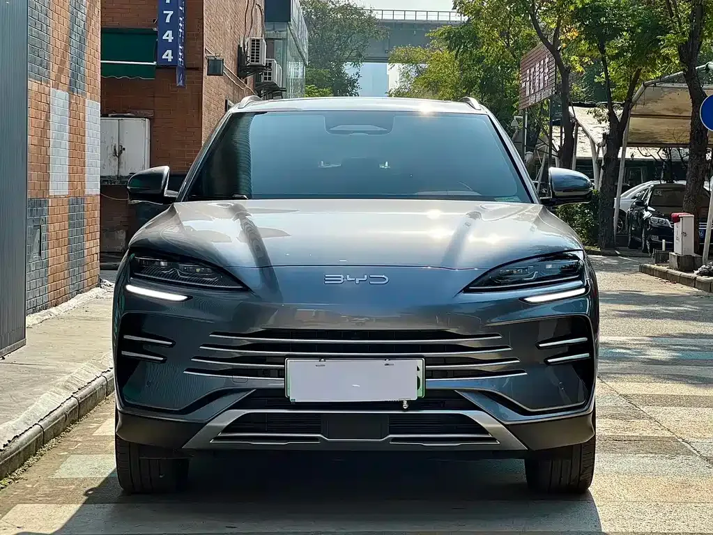 BYD PLUS New Energy 2025 из CN, фото 2