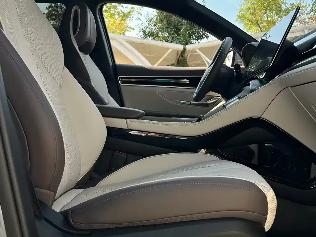 BYD PLUS New Energy 2025 из CN, фото 3