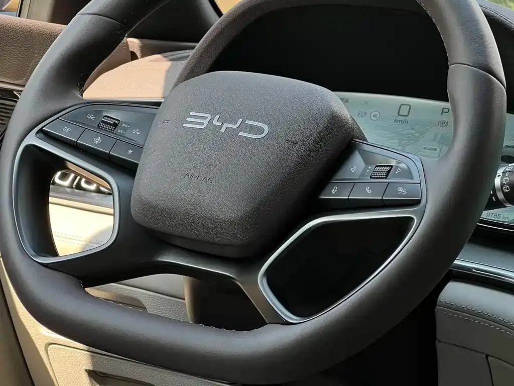 BYD PLUS New Energy 2025 из CN, фото 4