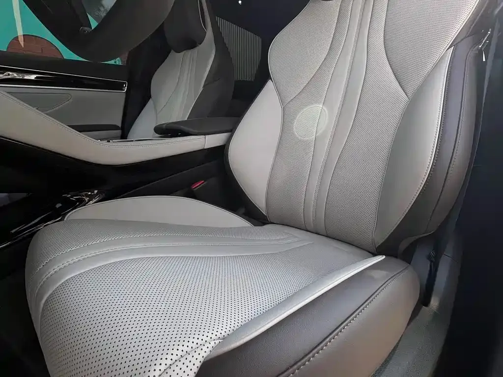 BYD PLUS New Energy 2025 из CN, фото 5