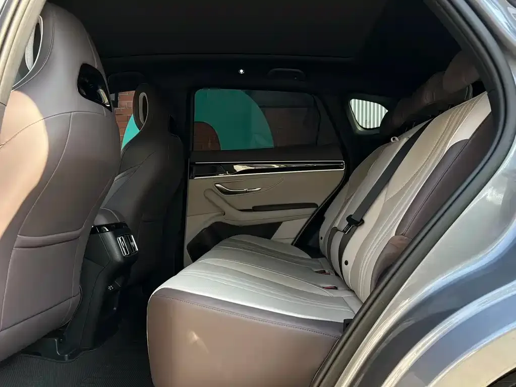 BYD PLUS New Energy 2025 из CN, фото 6