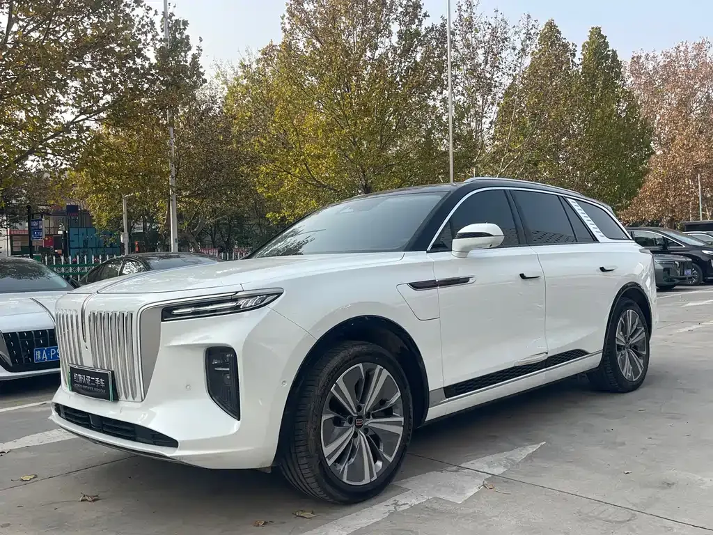 Hongqi E-HS9 2023 из CN, фото 1