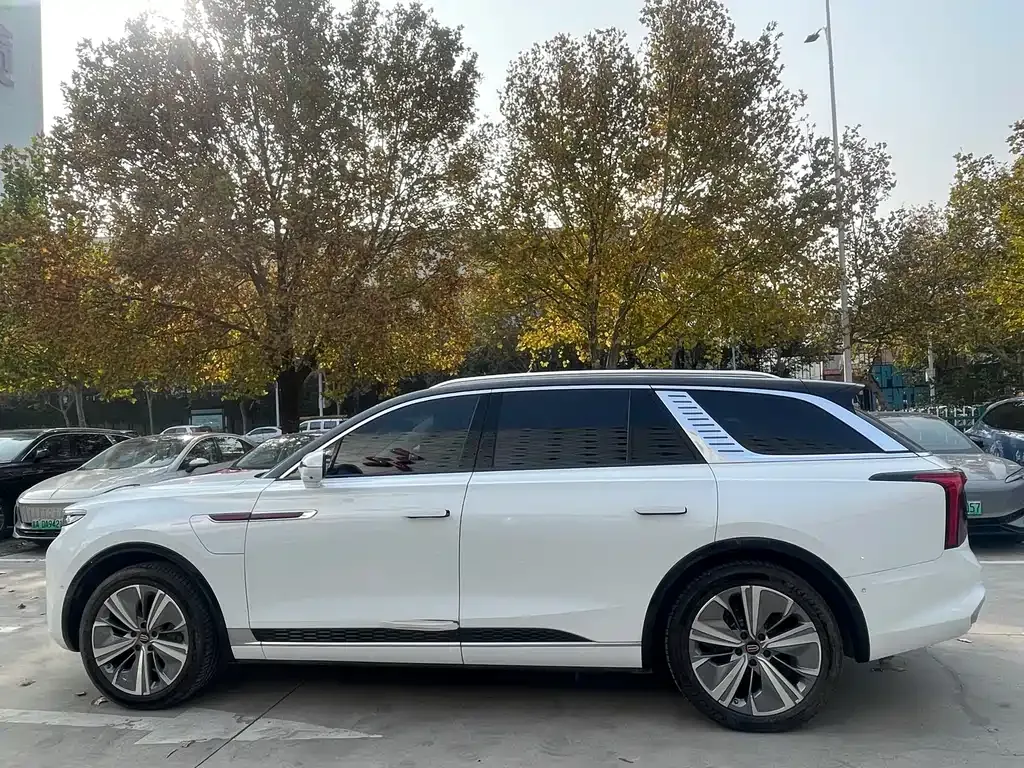 Hongqi E-HS9 2023 из CN, фото 4