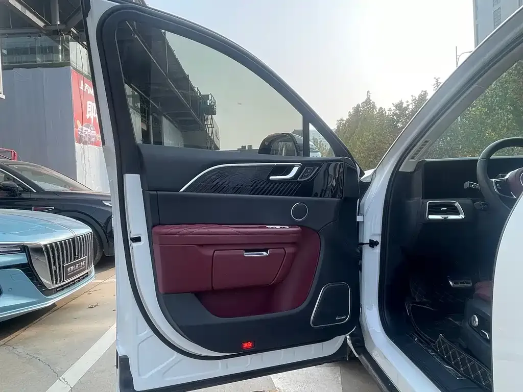 Hongqi E-HS9 2023 из CN, фото 6