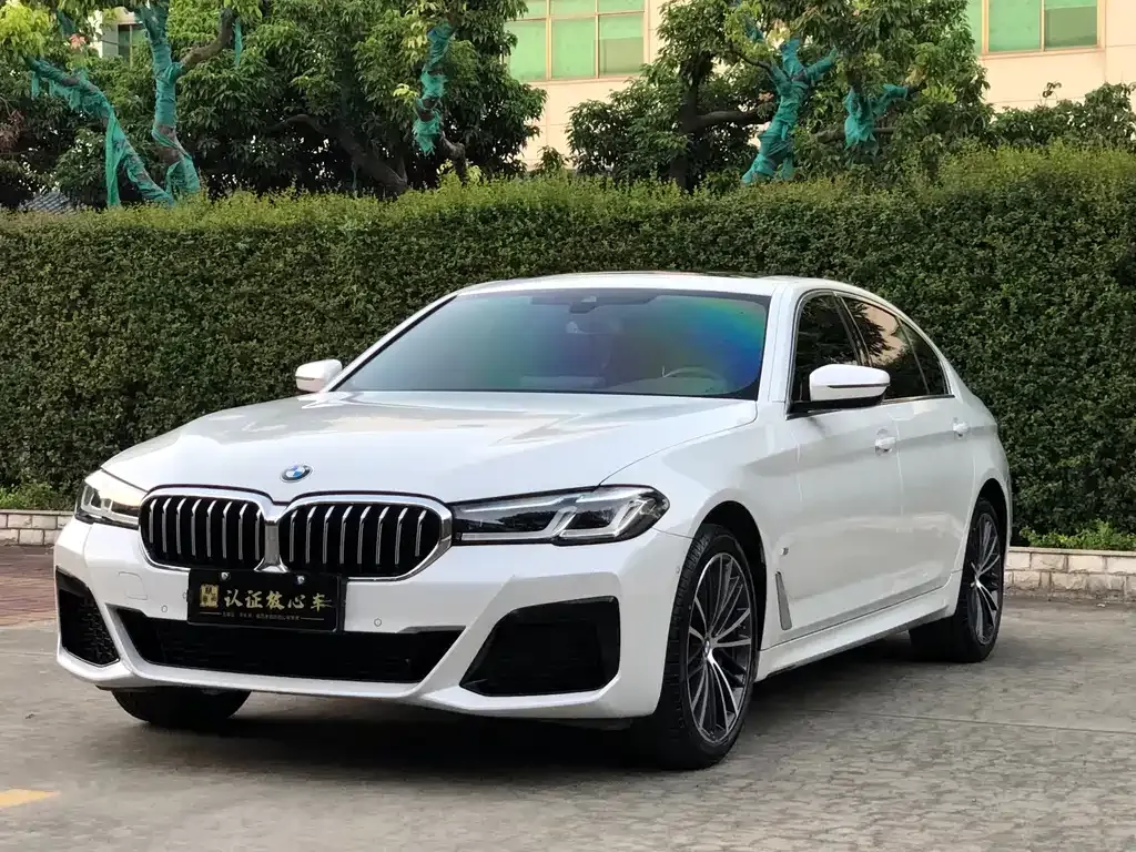 BMW 5 Series 2023 из CN, фото 1