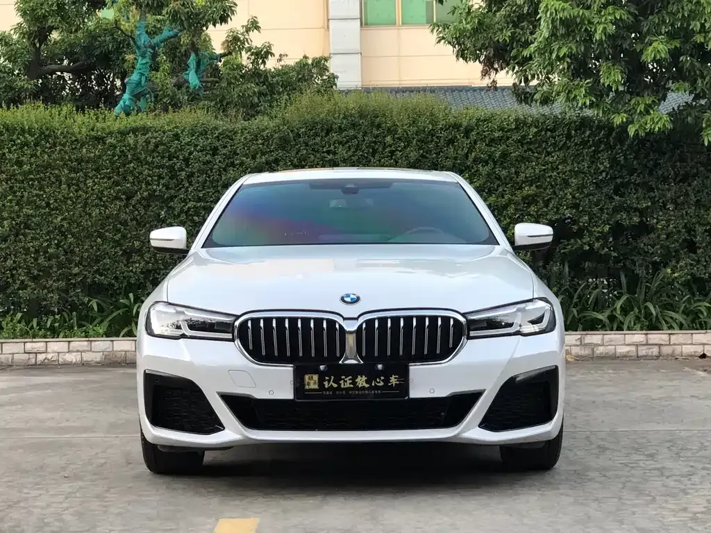BMW 5 Series 2023 из CN, фото 2