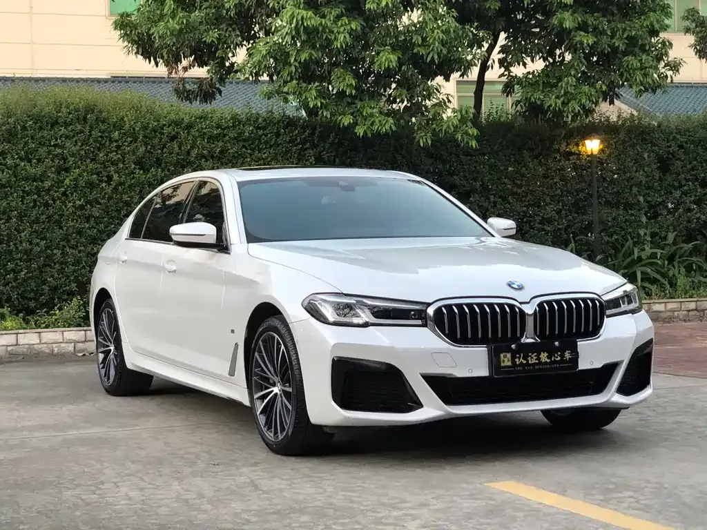 BMW 5 Series 2023 из CN, фото 3