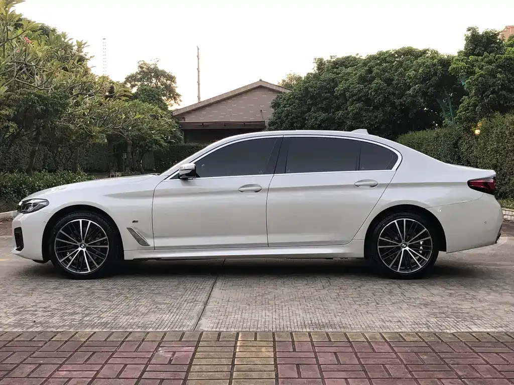 BMW 5 Series 2023 из CN, фото 4