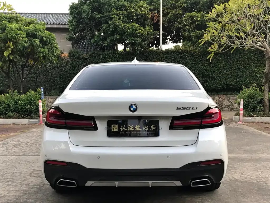 BMW 5 Series 2023 из CN, фото 5