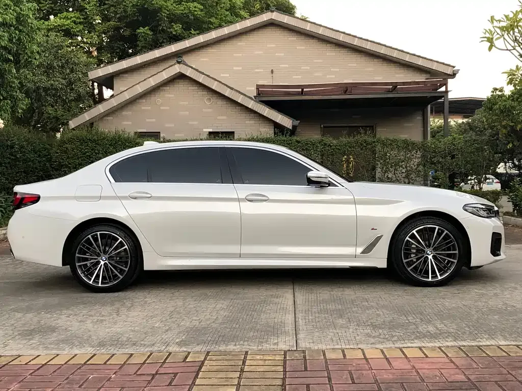 BMW 5 Series 2023 из CN, фото 6