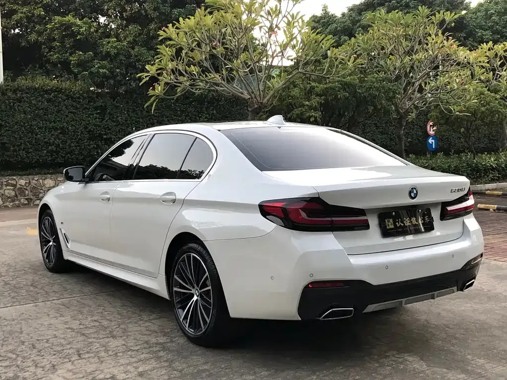 BMW 5 Series 2023 из CN, фото 7