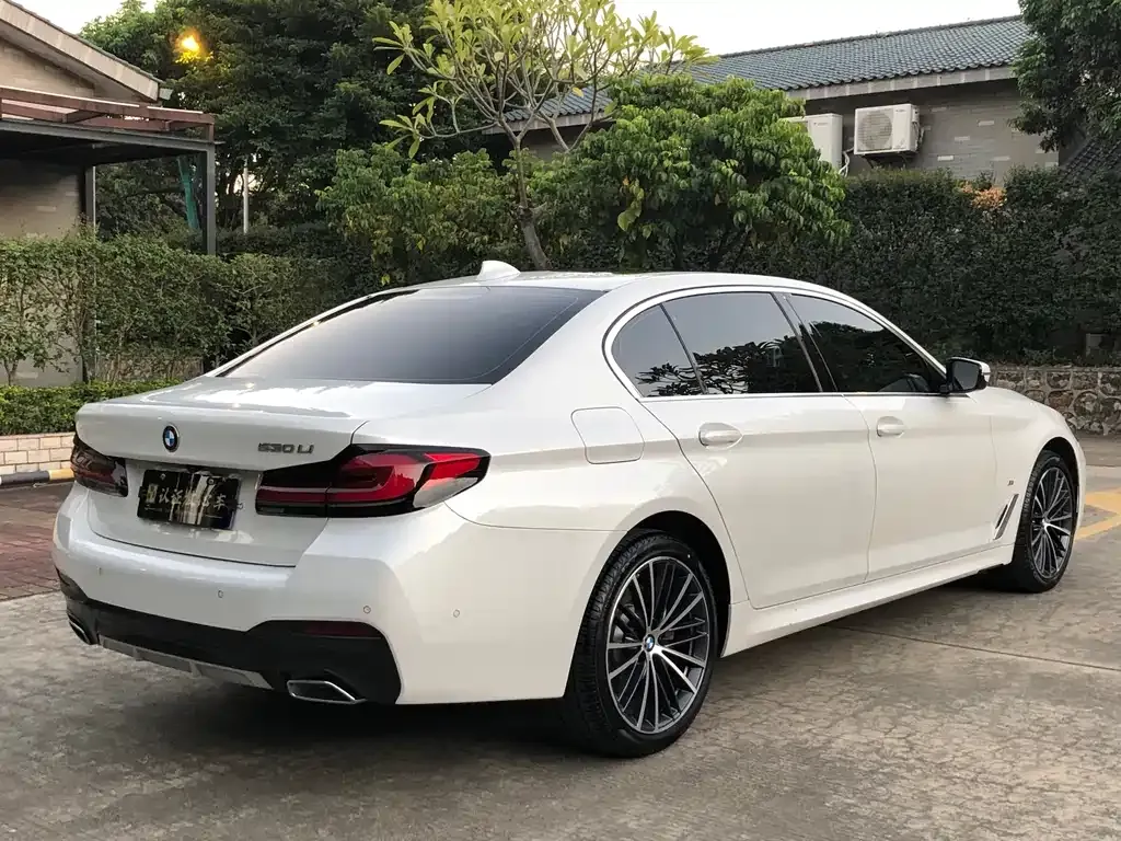 BMW 5 Series 2023 из CN, фото 8