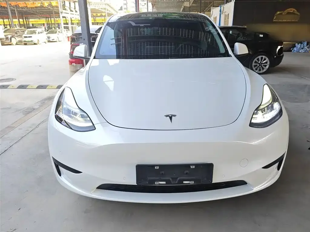 Tesla Model Y 2022 из CN, фото 3