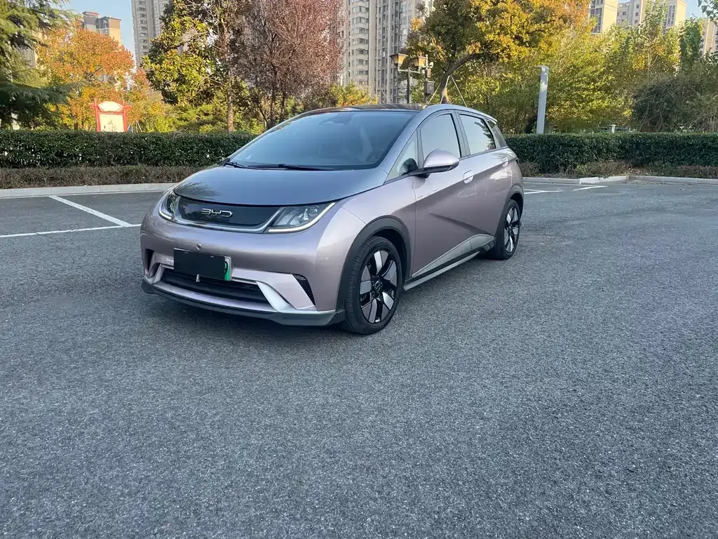 BYD Dolphin 2023 из CN, фото 1