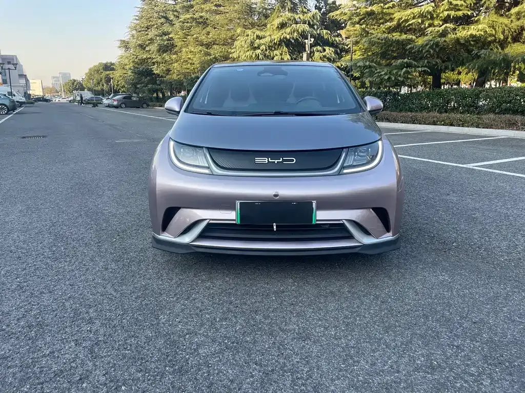 BYD Dolphin 2023 из CN, фото 2
