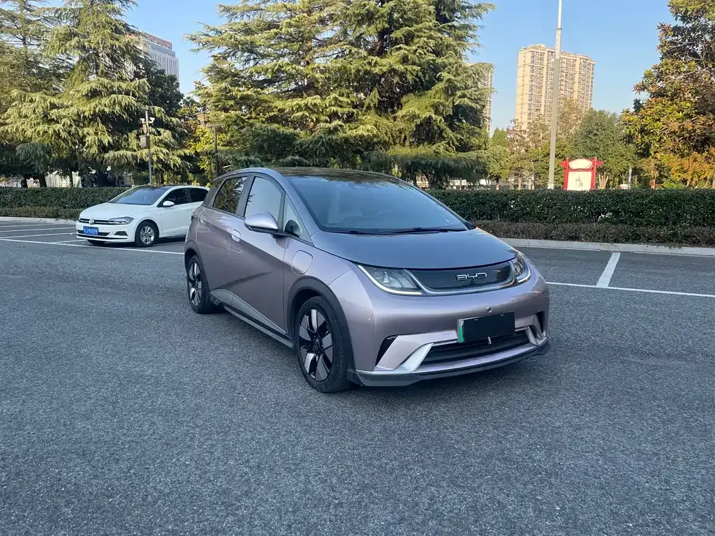 BYD Dolphin 2023 из CN, фото 3