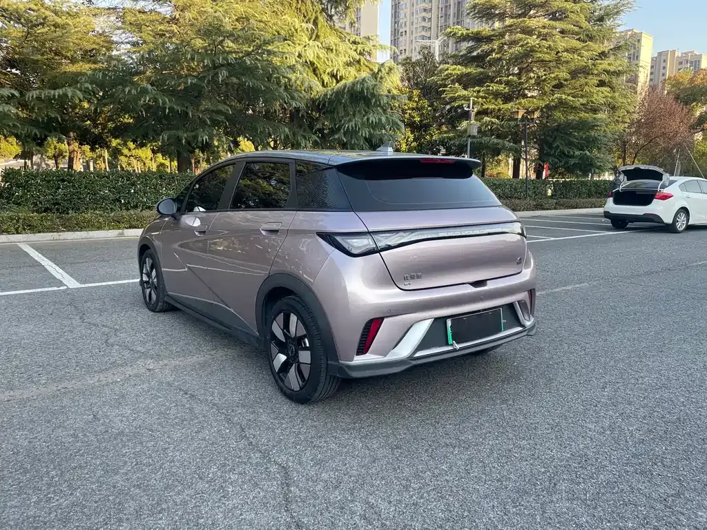 BYD Dolphin 2023 из CN, фото 6