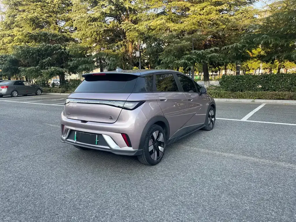 BYD Dolphin 2023 из CN, фото 7