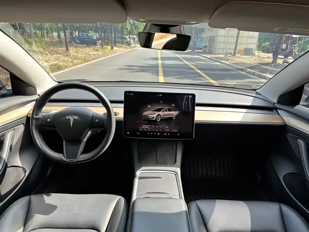 Tesla Model 3 2022 из CN, фото 5