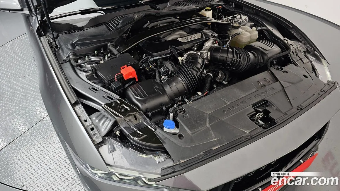 Ford Mustang 2024 из KR, фото 6