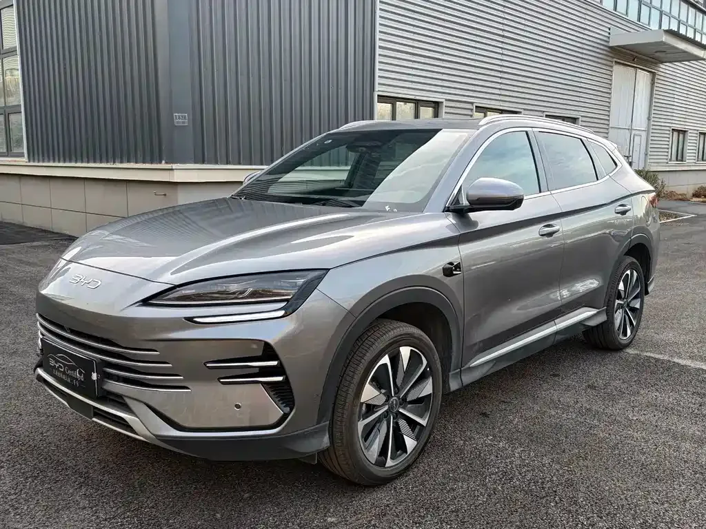 BYD PLUS New Energy — фото 1