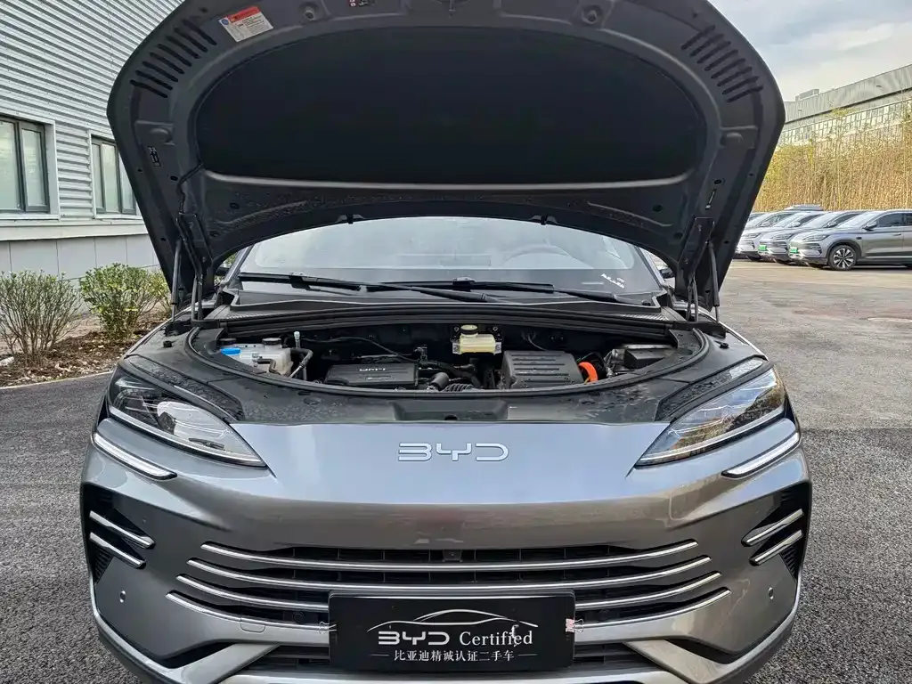BYD PLUS New Energy — фото 4