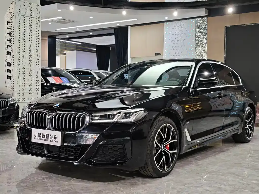 BMW 5 Series 2022 из CN, фото 1