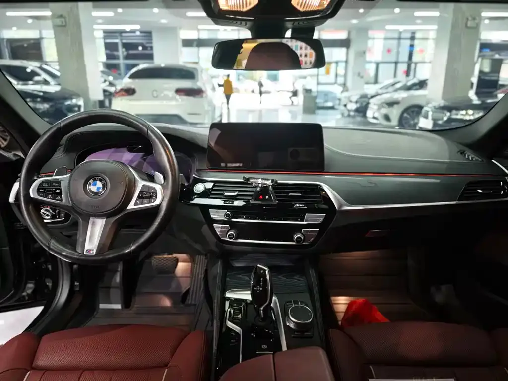 BMW 5 Series 2022 из CN, фото 10