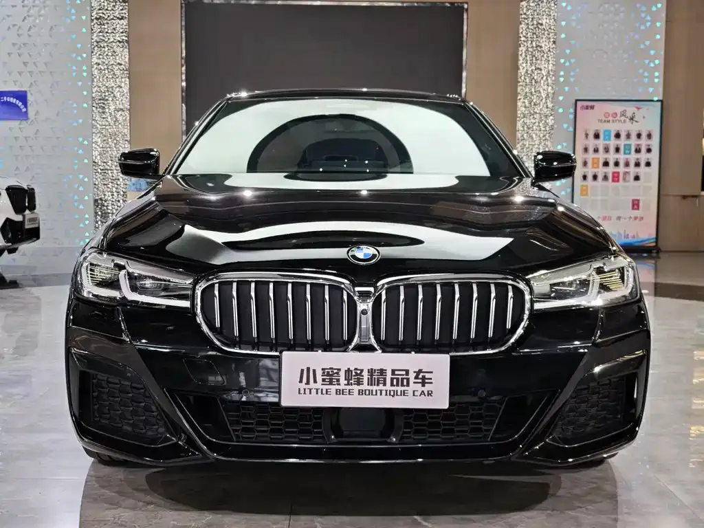 BMW 5 Series 2022 из CN, фото 2