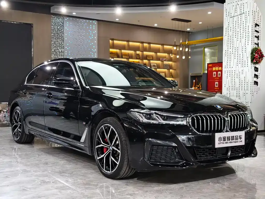 BMW 5 Series 2022 из CN, фото 3