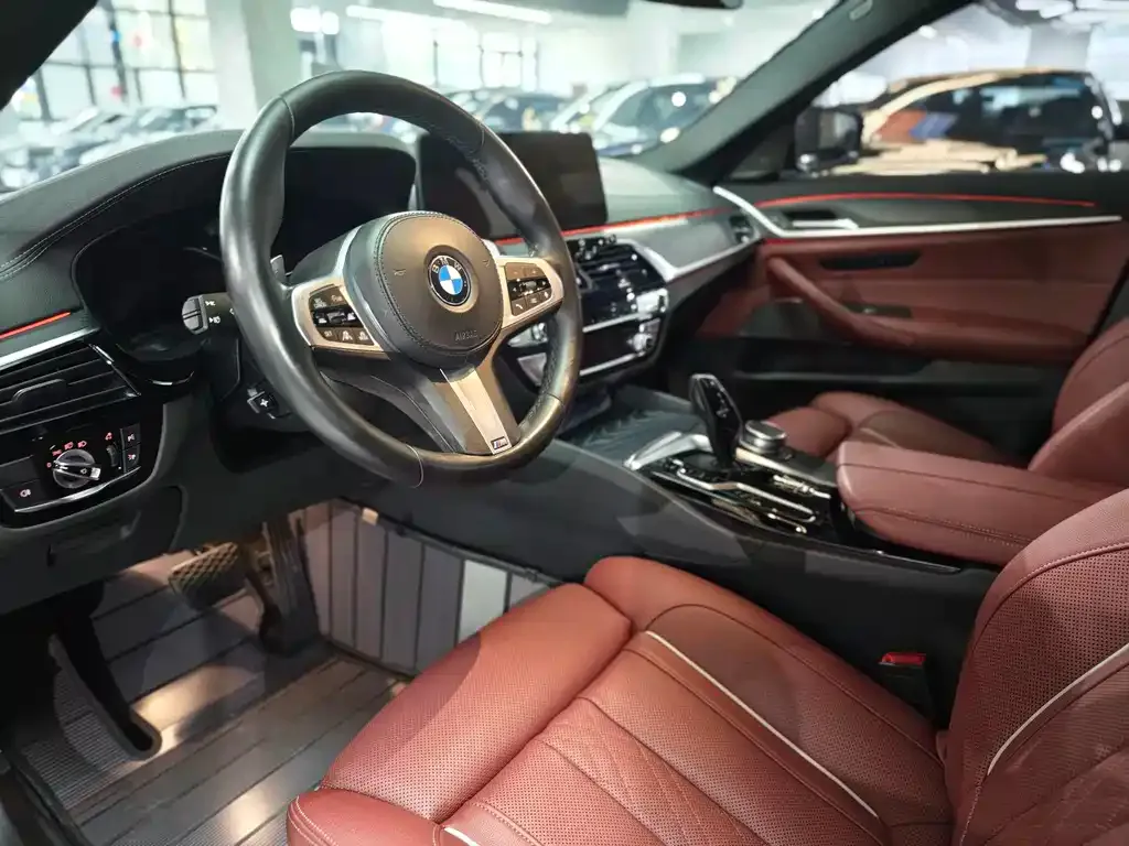 BMW 5 Series 2022 из CN, фото 5