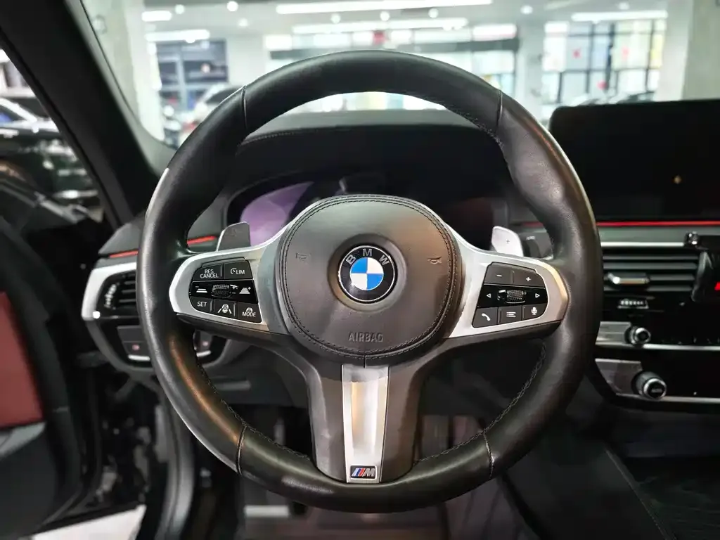 BMW 5 Series 2022 из CN, фото 8