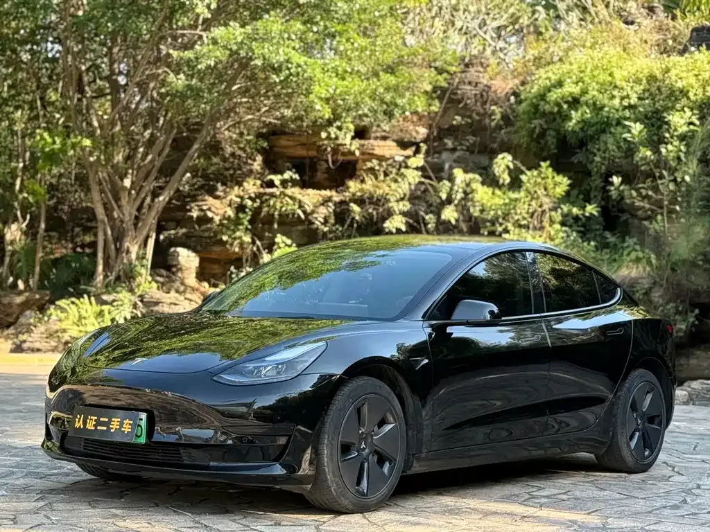 Tesla Model 3 — фото 1