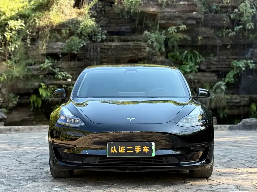 Tesla Model 3 — фото 2