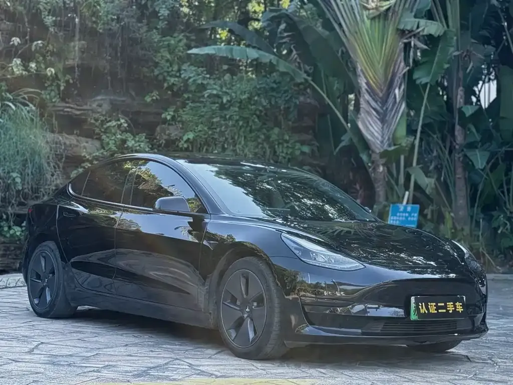 Tesla Model 3 — фото 3