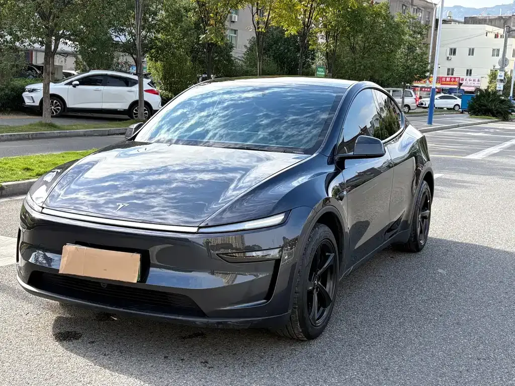 Tesla Model Y 2025 из CN, фото 1