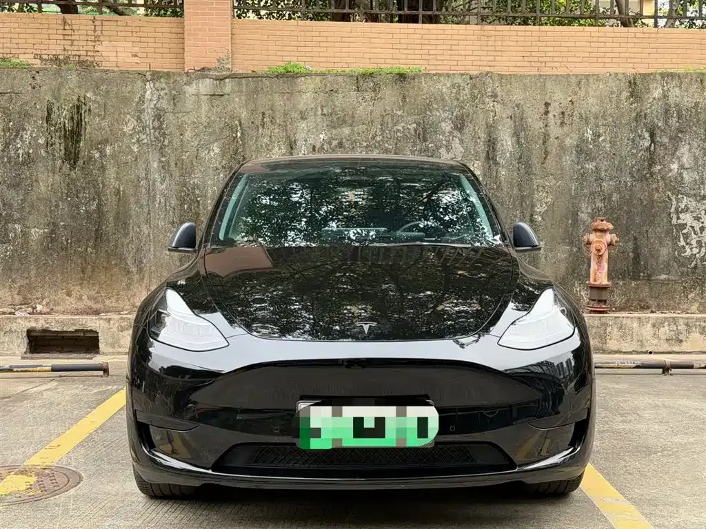 Tesla Model Y — фото 2