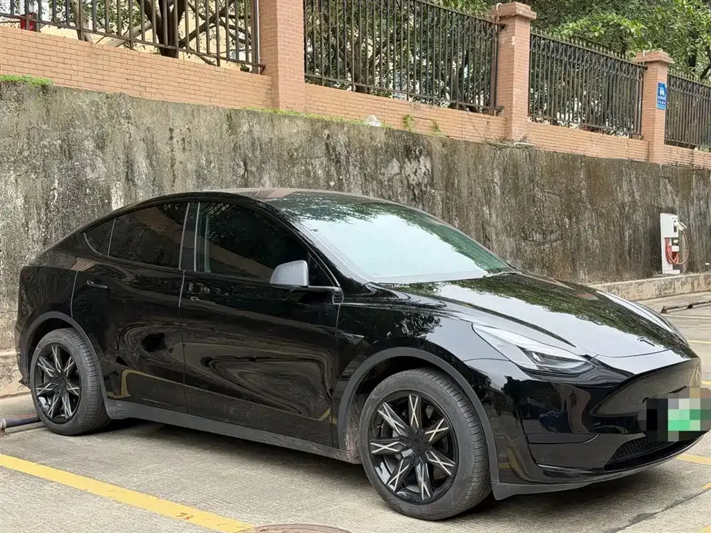 Tesla Model Y — фото 3