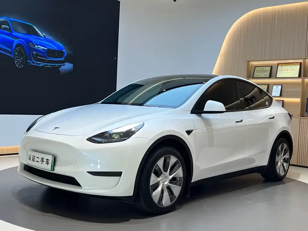 Tesla Model Y — фото 1