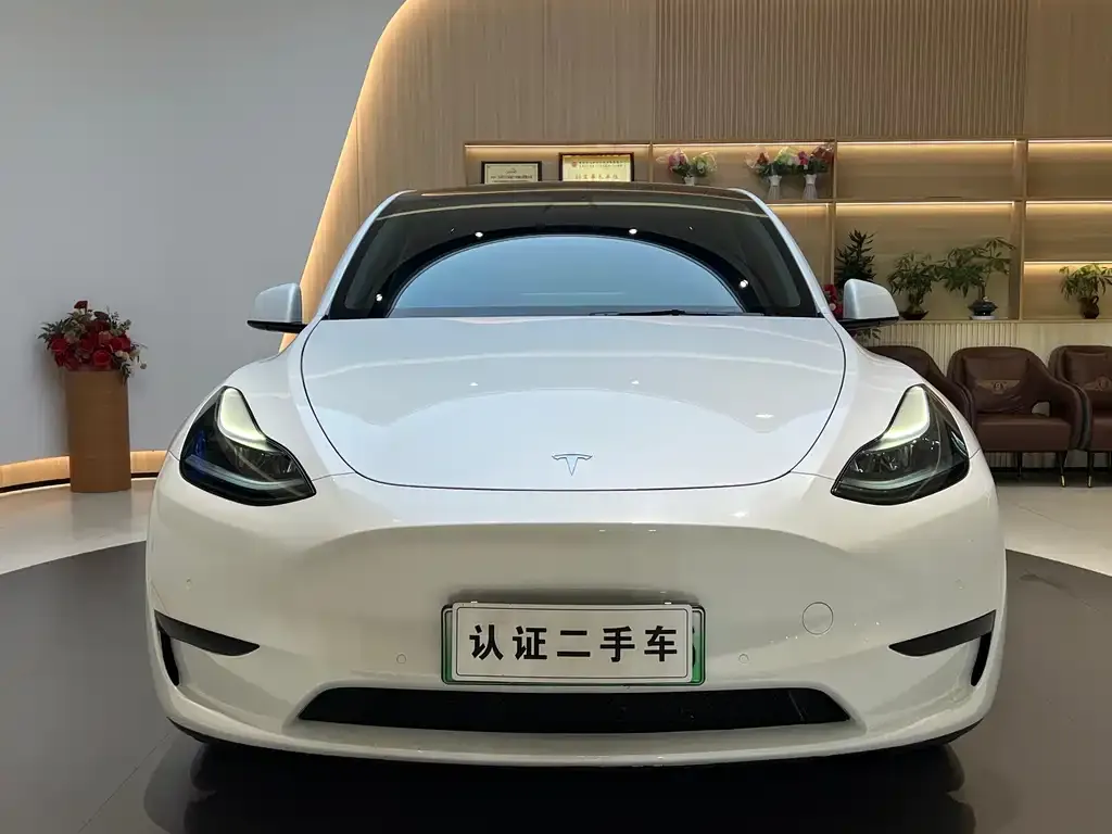 Tesla Model Y — фото 2