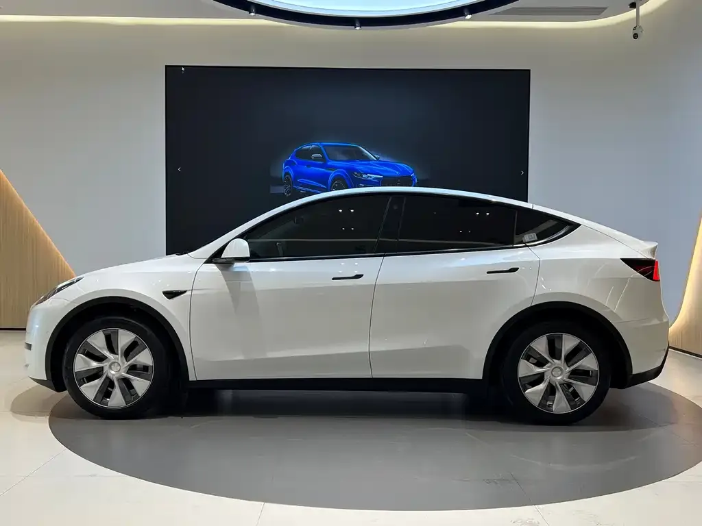 Tesla Model Y — фото 3