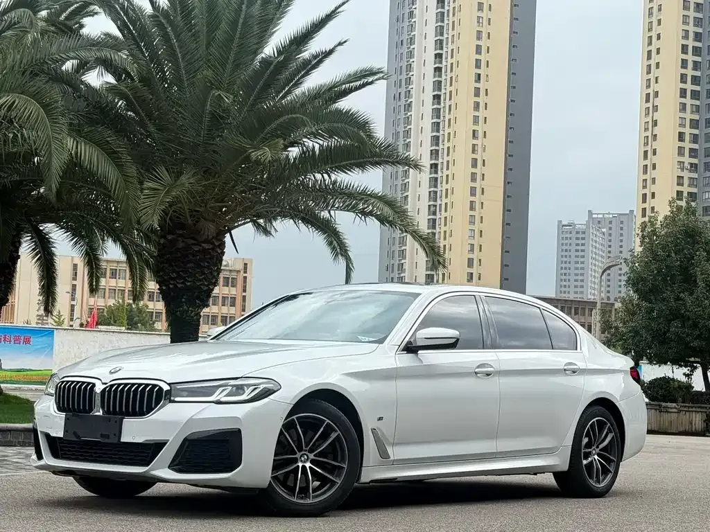 BMW 5 Series — фото 3