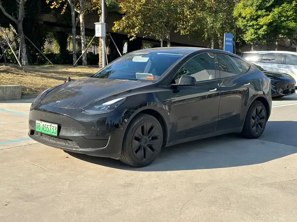 Tesla Model Y 2024 из CN, фото 1