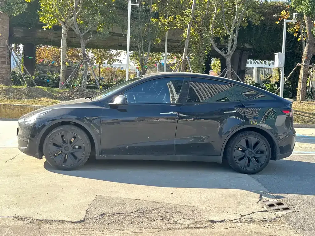 Tesla Model Y 2024 из CN, фото 6