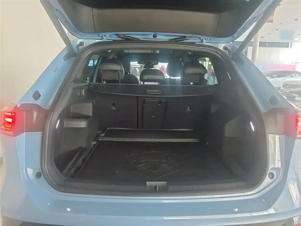 Volkswagen Tiguan L 2024 из CN, фото 9
