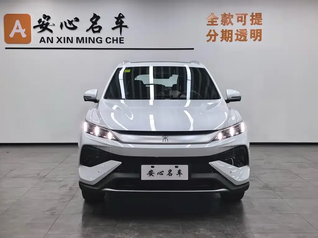 BYD Pro New Energy — фото 2