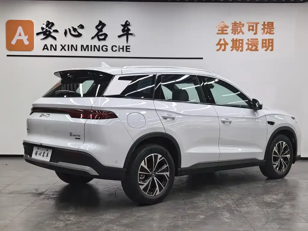 BYD Pro New Energy — фото 3