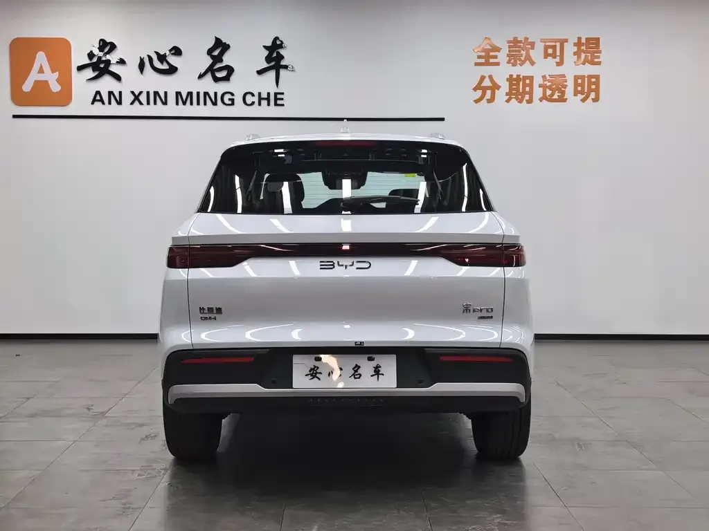 BYD Pro New Energy — фото 4
