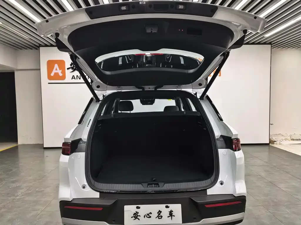 BYD Pro New Energy — фото 5